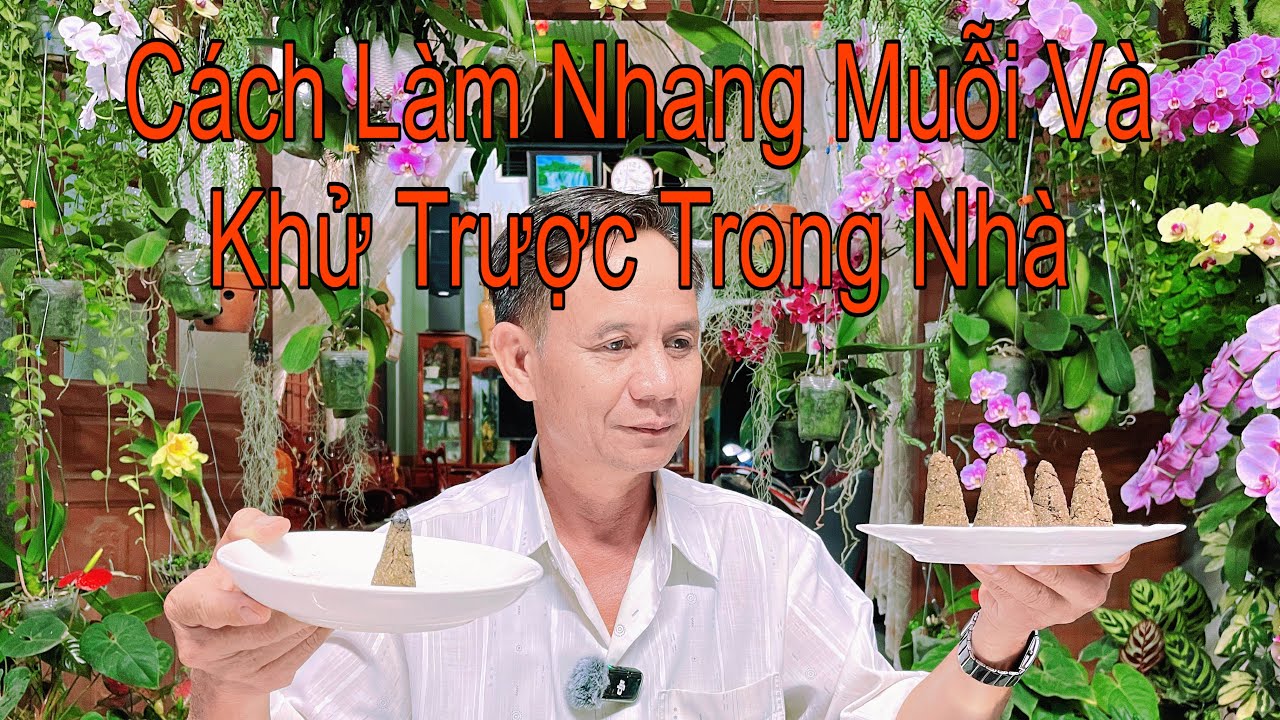 Bí Quyết Làm Nhan Muỗi Sinh Học Đuổi Sạch Muỗi Khử Trược Tốt Cho Sức Khoẻ Không Độc Hại
