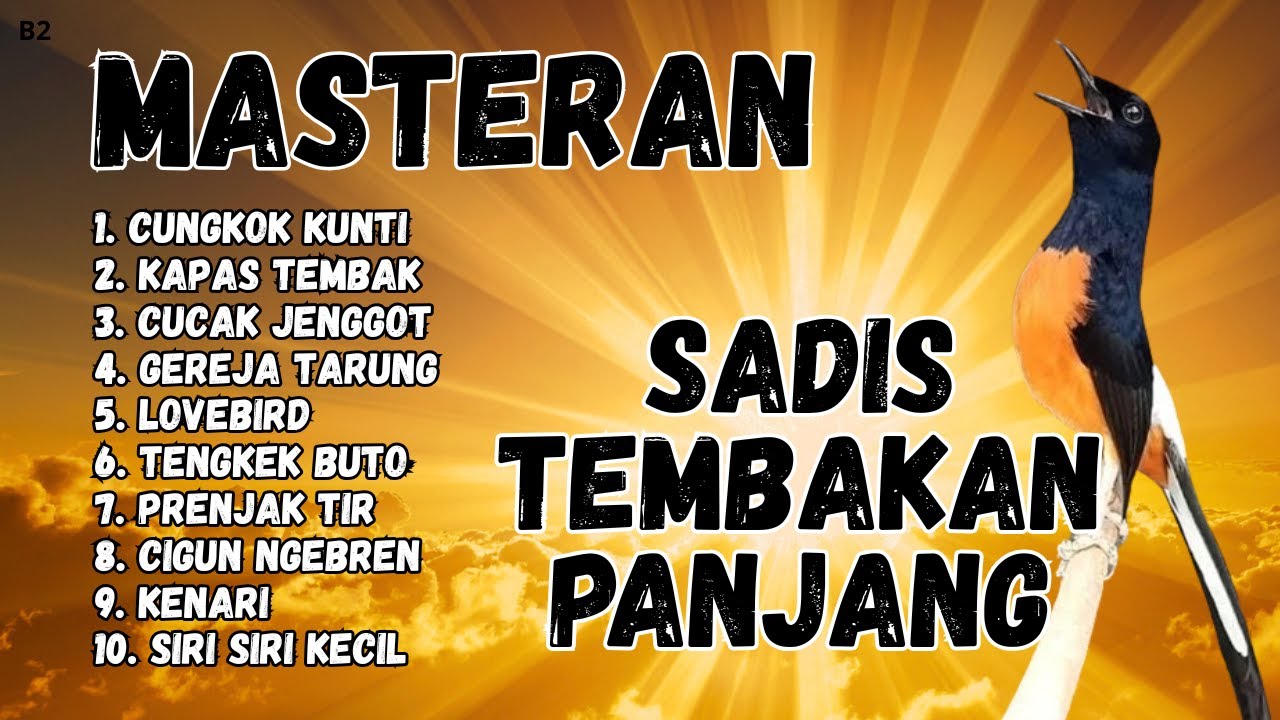 🔴 GACOR SADIS MENTAL KUAT MASTERAN MURAI BATU GACOR