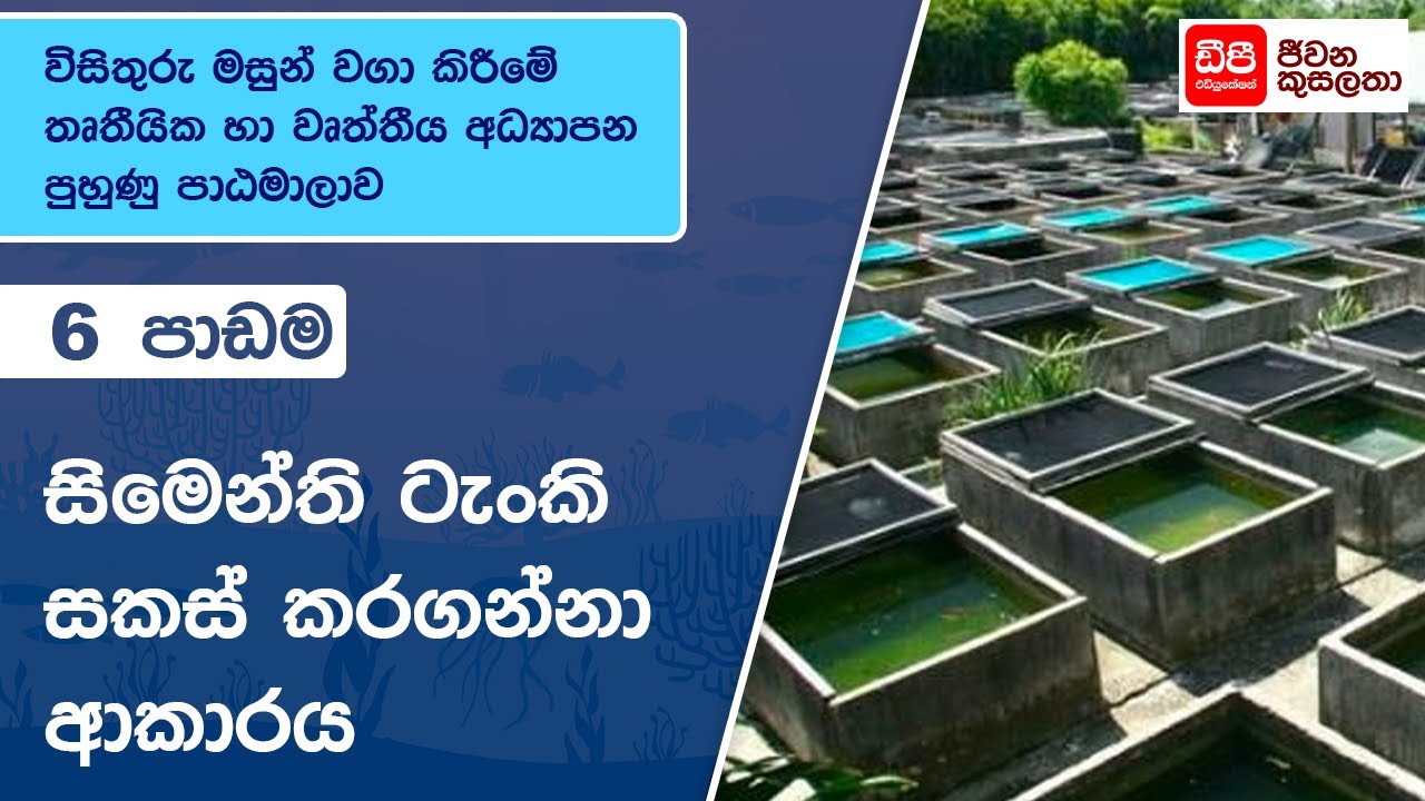 සිමෙන්තී ටැංකි සැකසීම