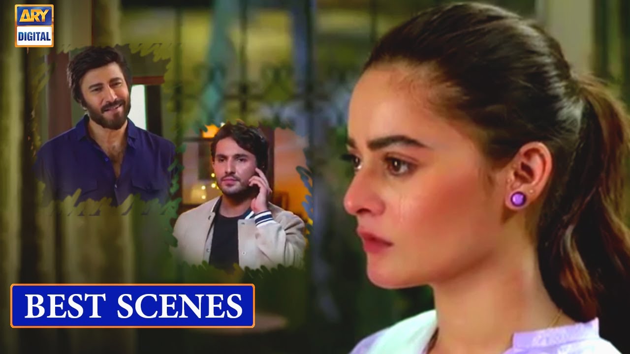 Nand Episodes Best Scenes - Minal Khan & Shehroz Sabzwari - ARY Digital Drama