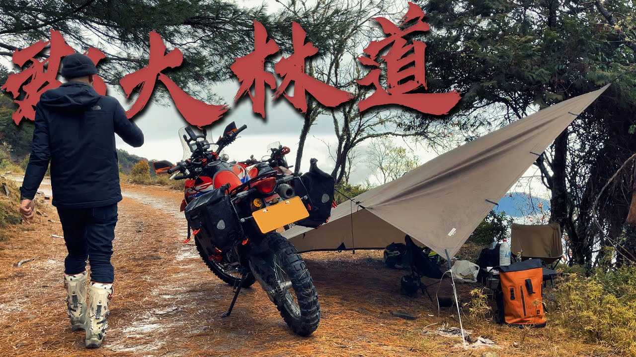 一日郡大林道，為了追雪騎進迷霧之森！｜Loot2魯特