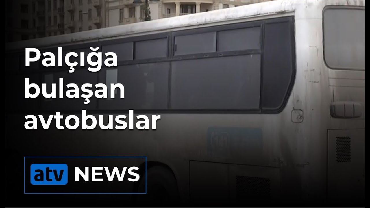 Şəhərimizi bəzəyən avtobuslar