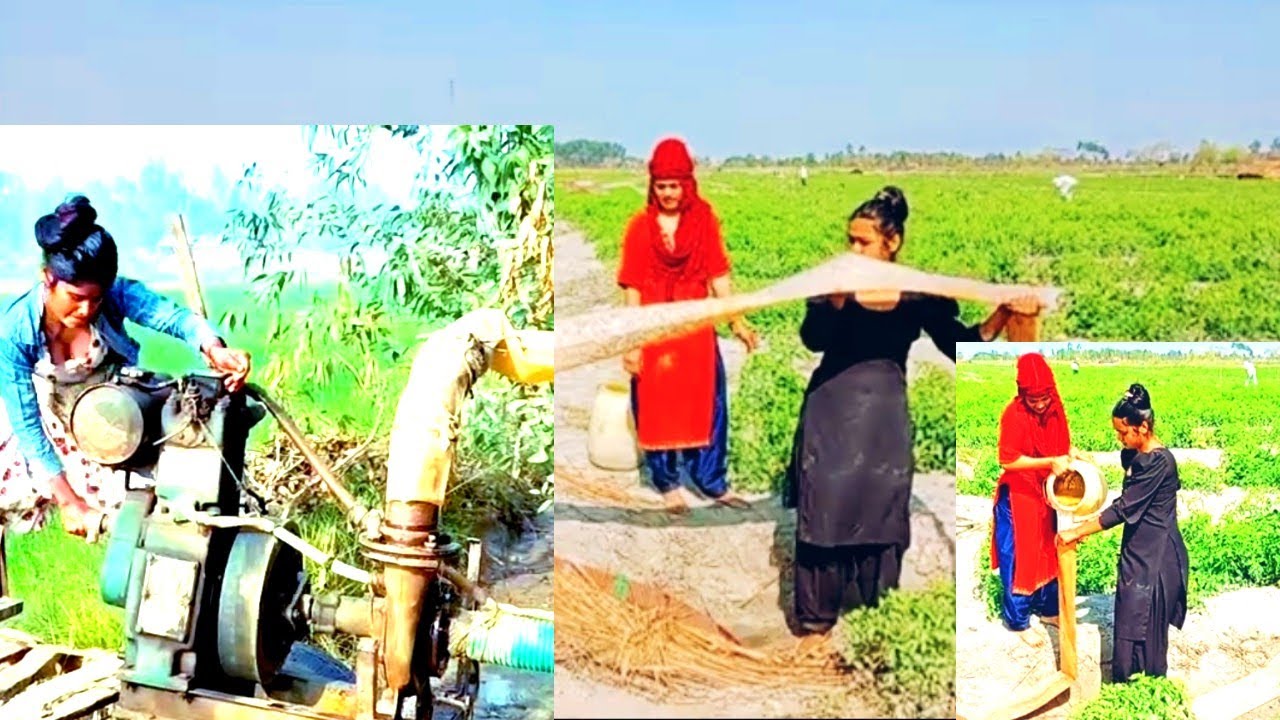 @#kdgyivd5h Dostlar, xahiş edirəm blockindianvillage@gmail.com baxın, bəyənin və şərhlərinizi payla