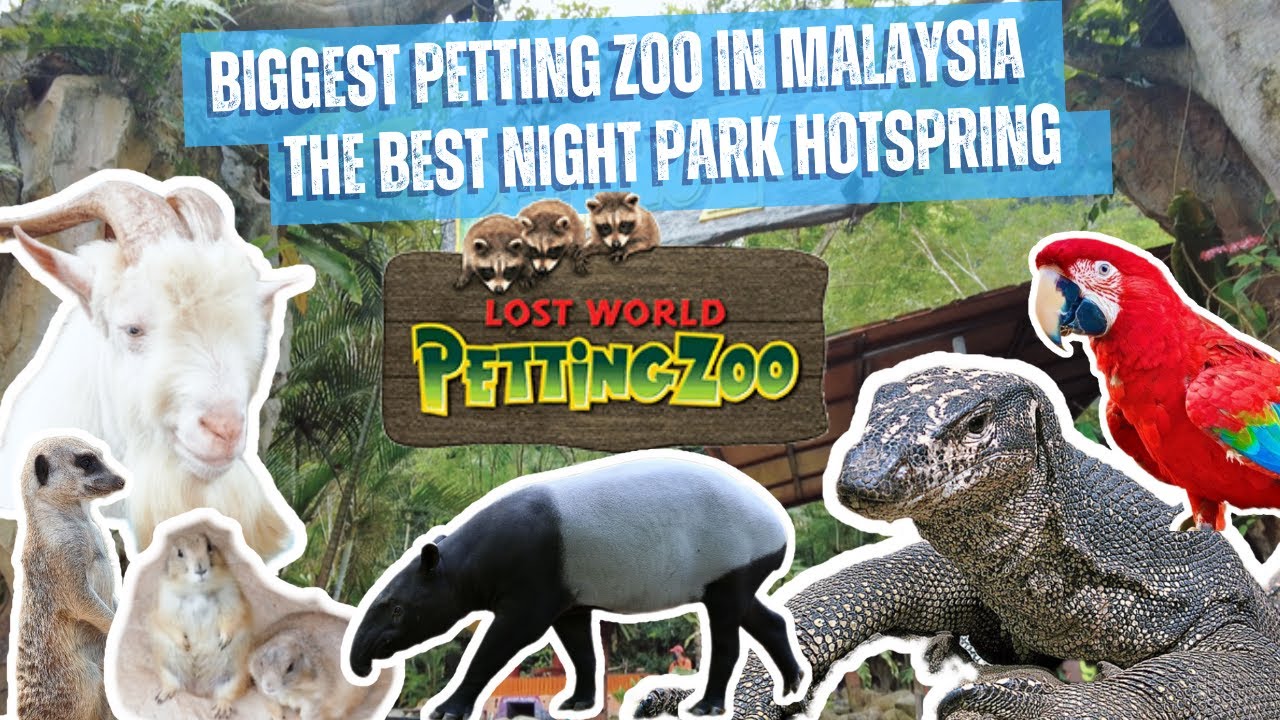 Lost World of Tambun | Petting Zoo | Night Park | Bapak Besar Biawak dah macam Komodo!! #review