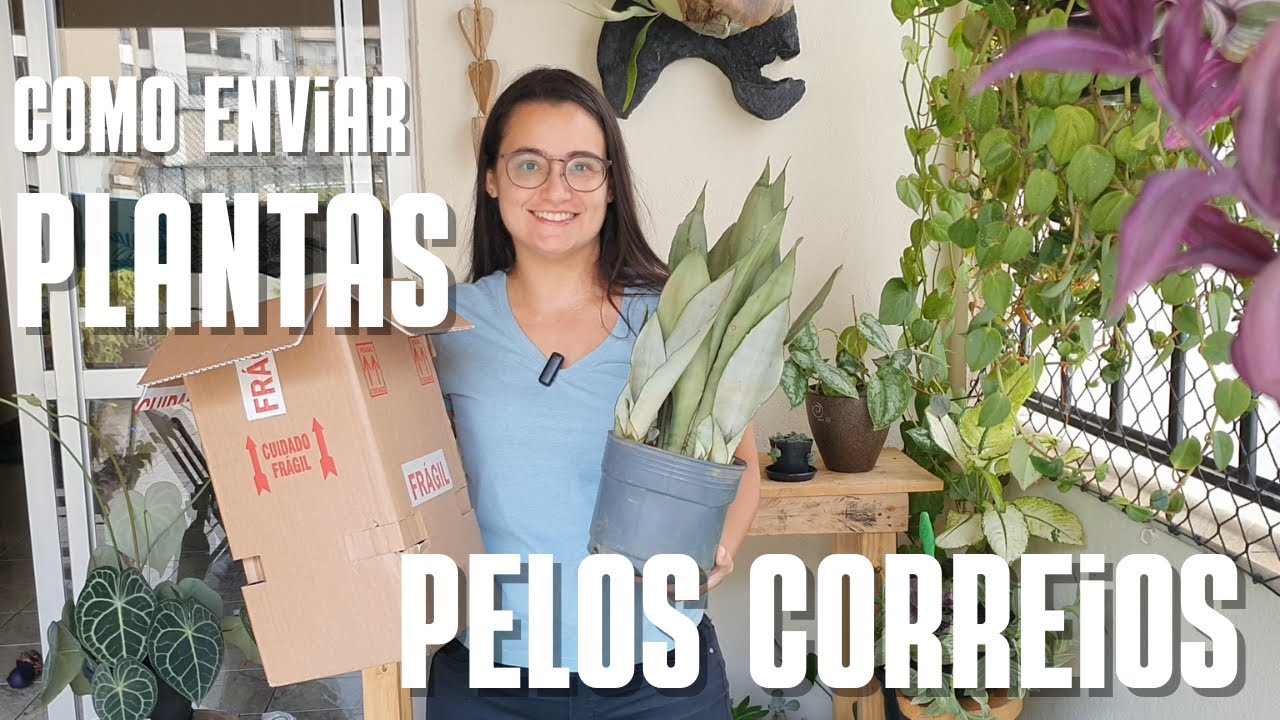 Como enviar plantas pelos correios. Enviei pra Zizi do @quintaldazizi! A reação dela é a melhor!