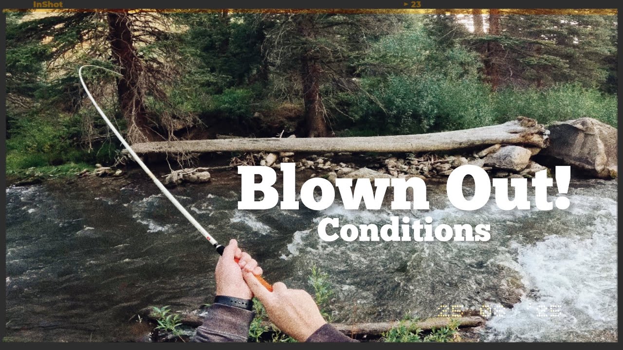 Tenkara Fishing AFTER A STORM (2025)