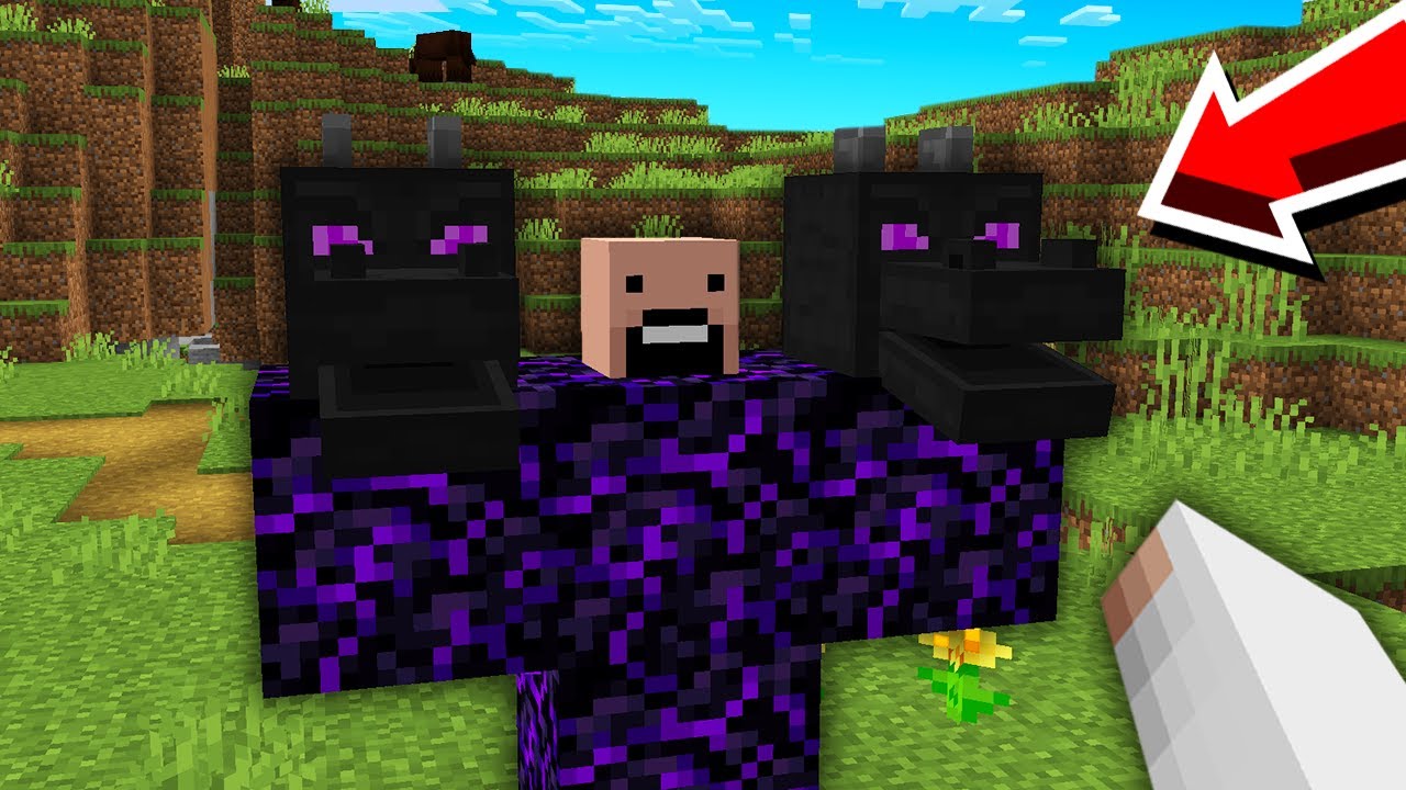 Am Adaugat Noi Bosi In Minecraft Si S-a Intamplat Asta...
