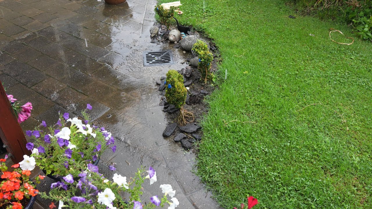 2026-01-21 Raining