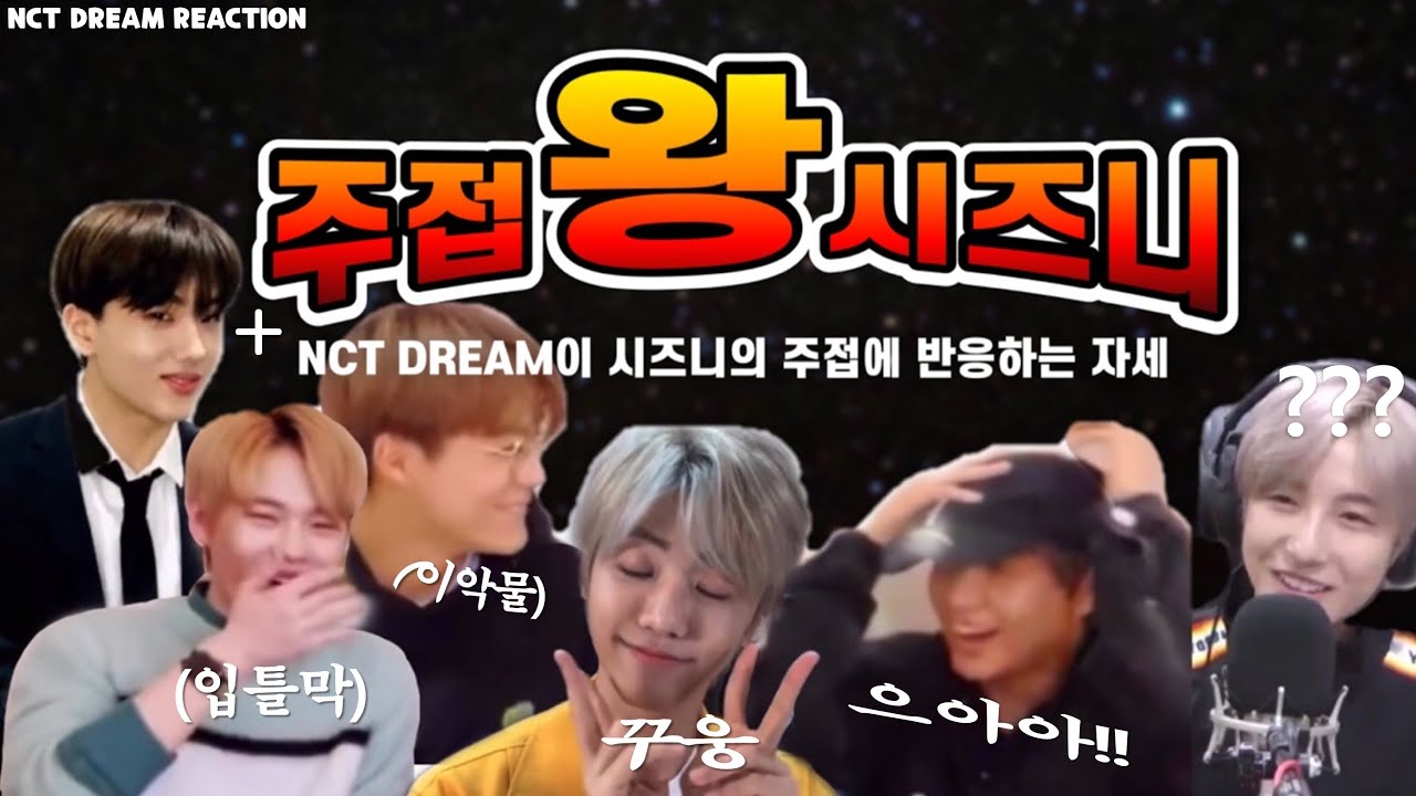 【주접왕시즈니】 NCT DREAM이 시즈니 주접에 반응하는 자세(NCT DREAM&NCTZEN / NCT DREAM REACTION)