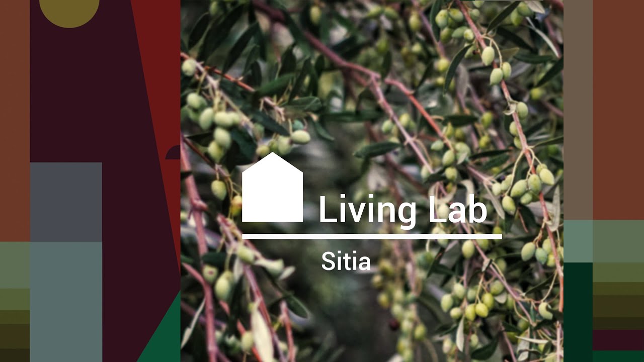 Sitia Municipality a FEAST Living Lab