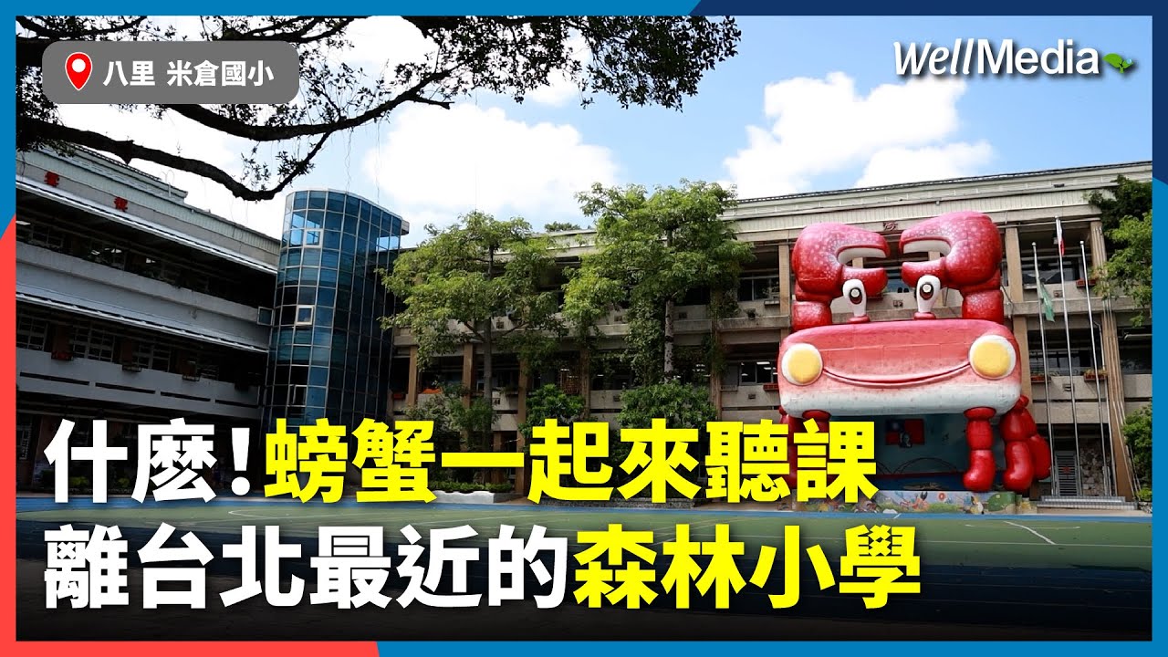 什麼！跟螃蟹一起聽課？離台北最近的森林小學 米倉國小拚永久綠旗！【Well Talk】@WellMediaGlobal