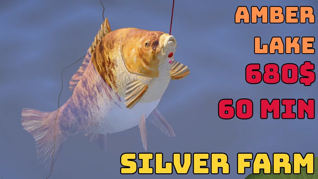 SILVER FARM AMBER LAKE #CARP (271) Russian Fishing 4 RF4