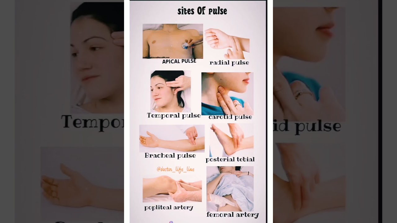 Site of pulse#medical #anatomy #pulse #gnn #shorts