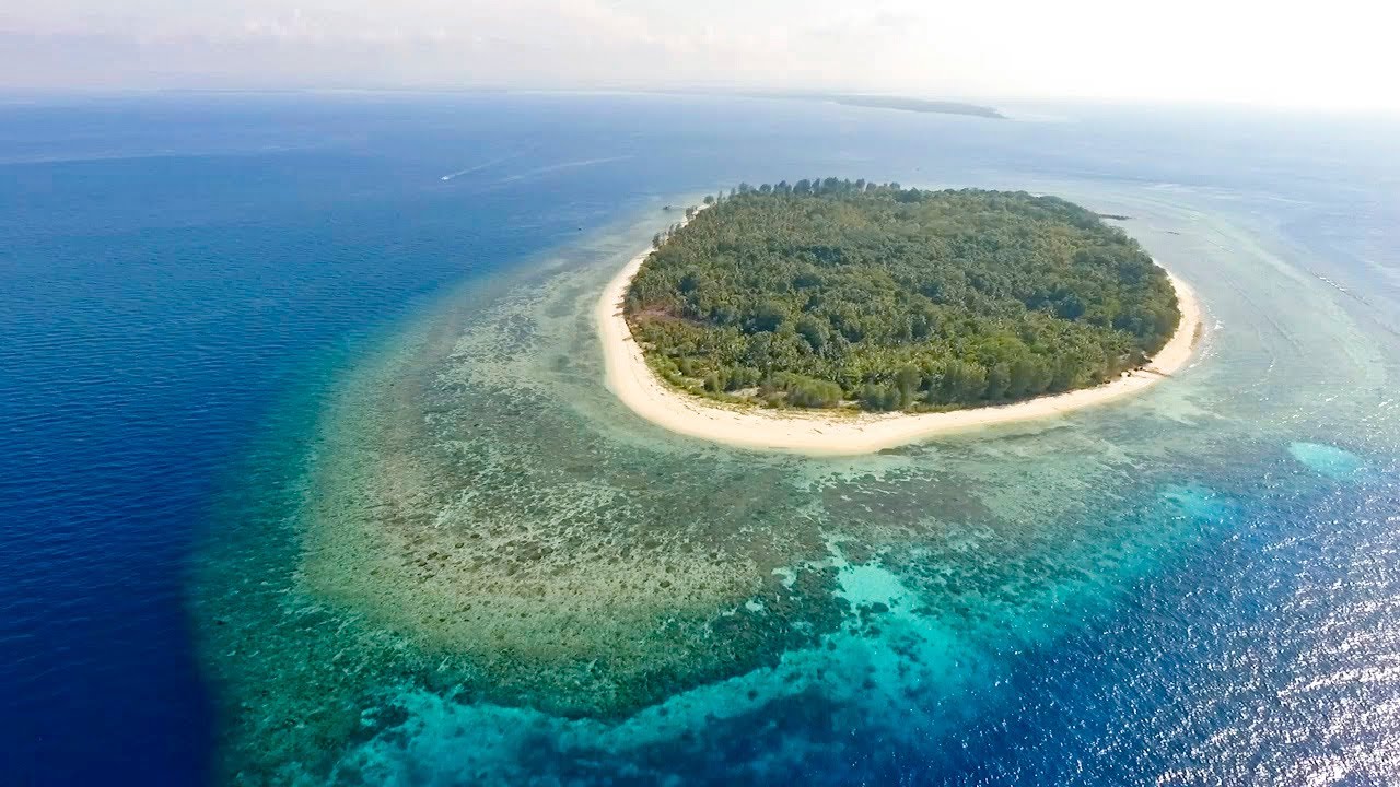 Metita Resort, Dive Halmahera