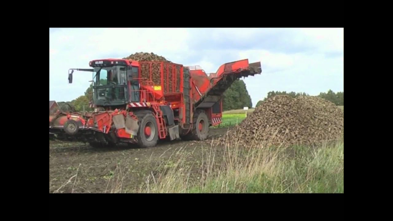H&uuml;ging GmbH & Co. KG - Zuckerr&uuml;benernte mit Holmer Terra Dos und Ropa &Uuml;berlademaus