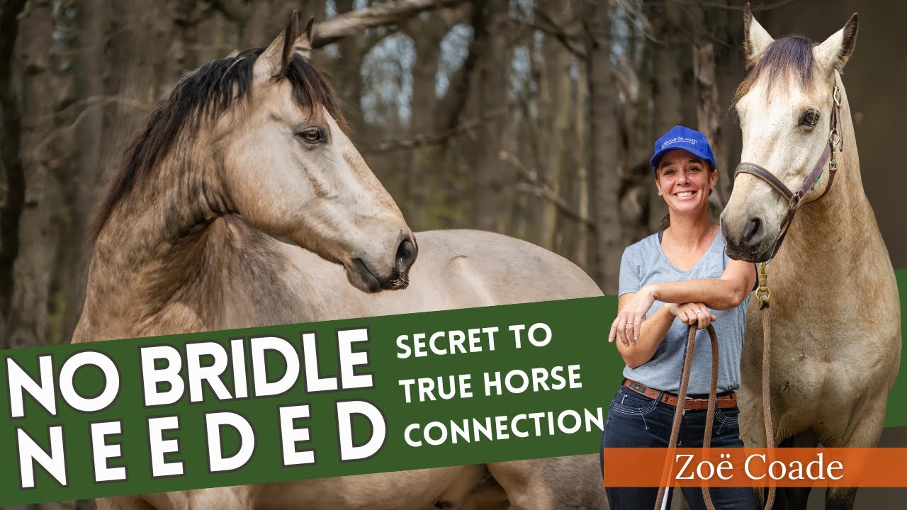 Why Horses Don't Need Bridles with Zoe Code