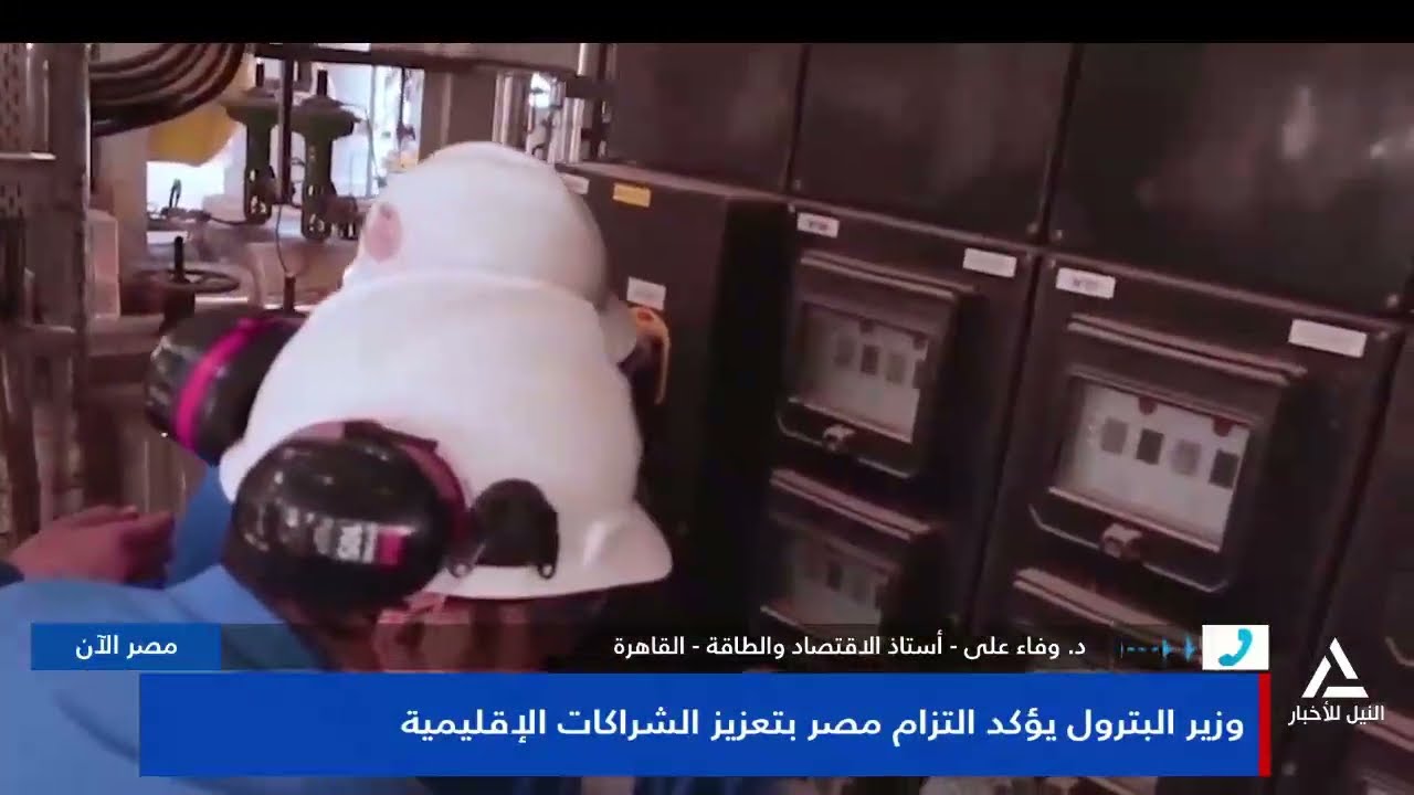 د. وفاء على: حالة من الزخم الإيجابى من قدرة مصر على التعاون مع دول الجوار وإيصال الغاز افى اوروبا