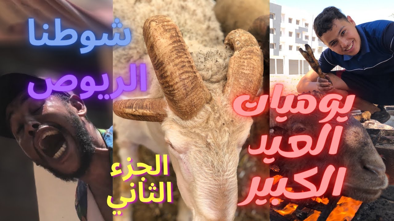 🤣 يوميات العيد الكبير #2 : حولي عندو 3 القرون (سلطان حوالا 😱) شوطنا الريوص