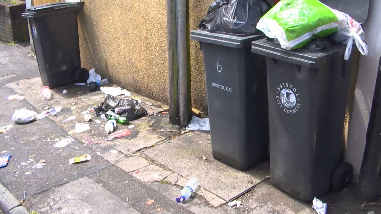 Bristol Litter