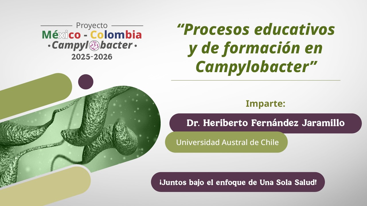 Seminario No. 12 
