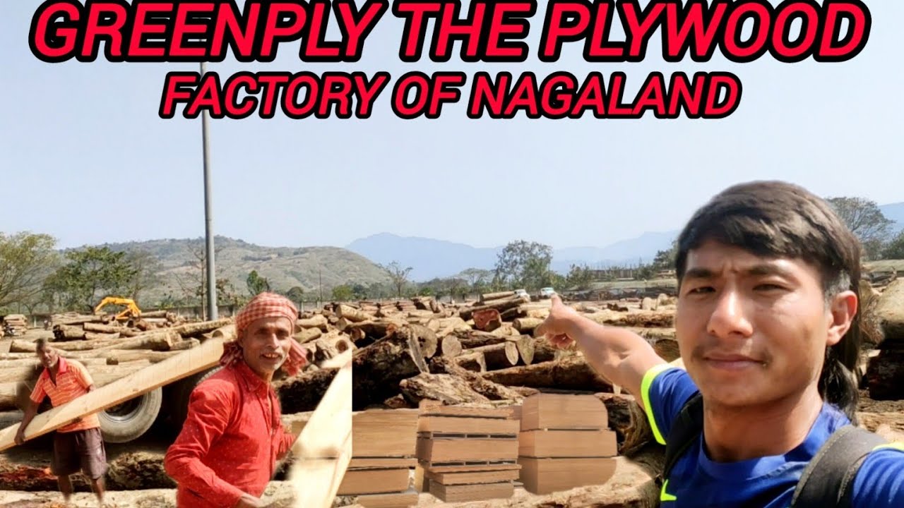 EXPLORING ONE AND ONLY GREENPLY PLYWOOD FACTORY TIZIT NAGALAND
