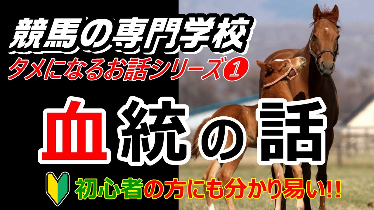 【競馬】血統の面白い考え方 キーンのタメになるお話1【競馬の専門学校】
