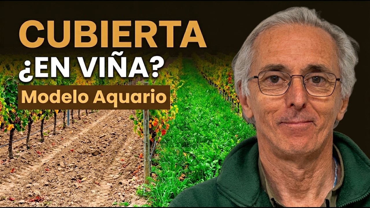 ¡No Cometas este Error! Cubierta Vegetal en Viña