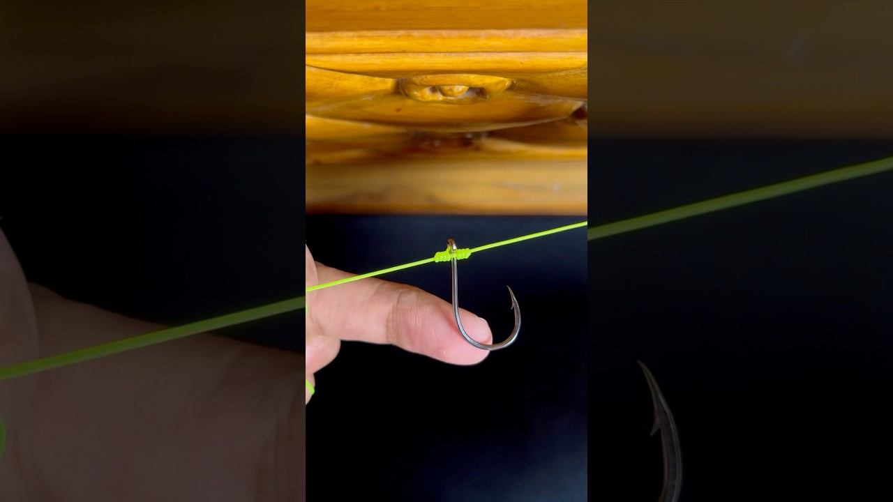 How tie a drop shot rig #shorts #reels #fishing #knot #hook