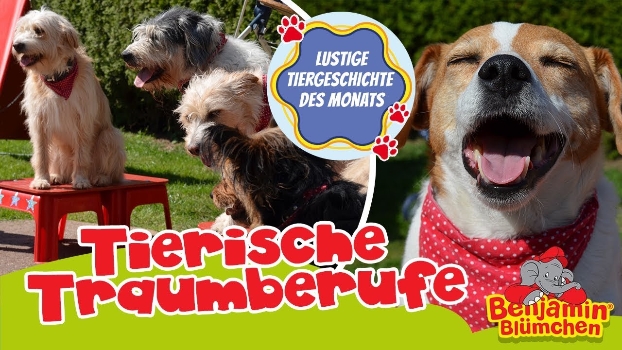 Benjamin Bl&uuml;mchen - Tiergeschichte des Monats | tierische TRAUMBERUFE