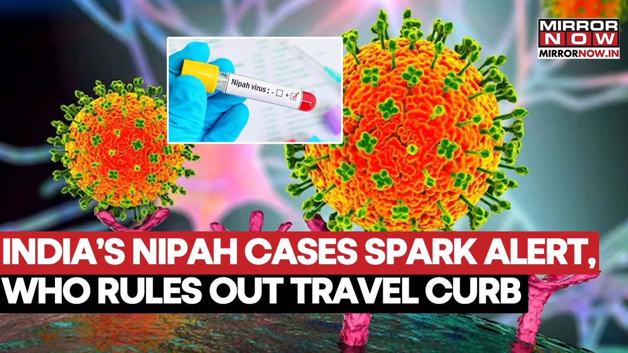 Nipah Virus Outbreak: WHO Says No Travel Curbs Needed After Cases Reported In India | Watch