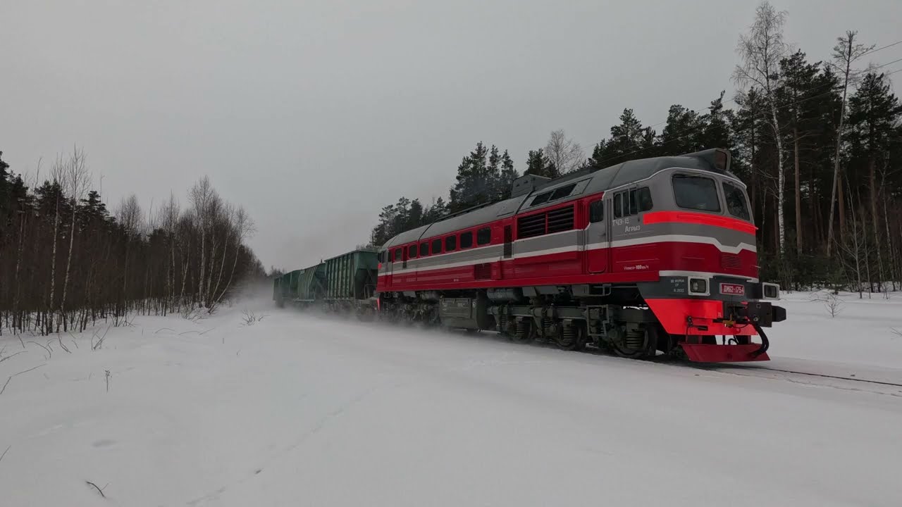 Тепловоз ДМ62-1754 с грузовым поездом на линии Муром-Ковров (Селивановский р-н, Владимирcкая обл.)