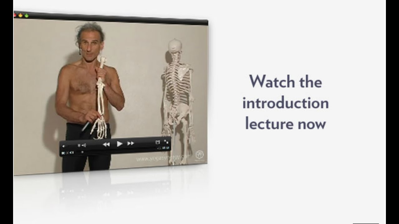 Introduction to the Applied Anatomy and Physiology of Yoga, by Simon Borg-Olivier