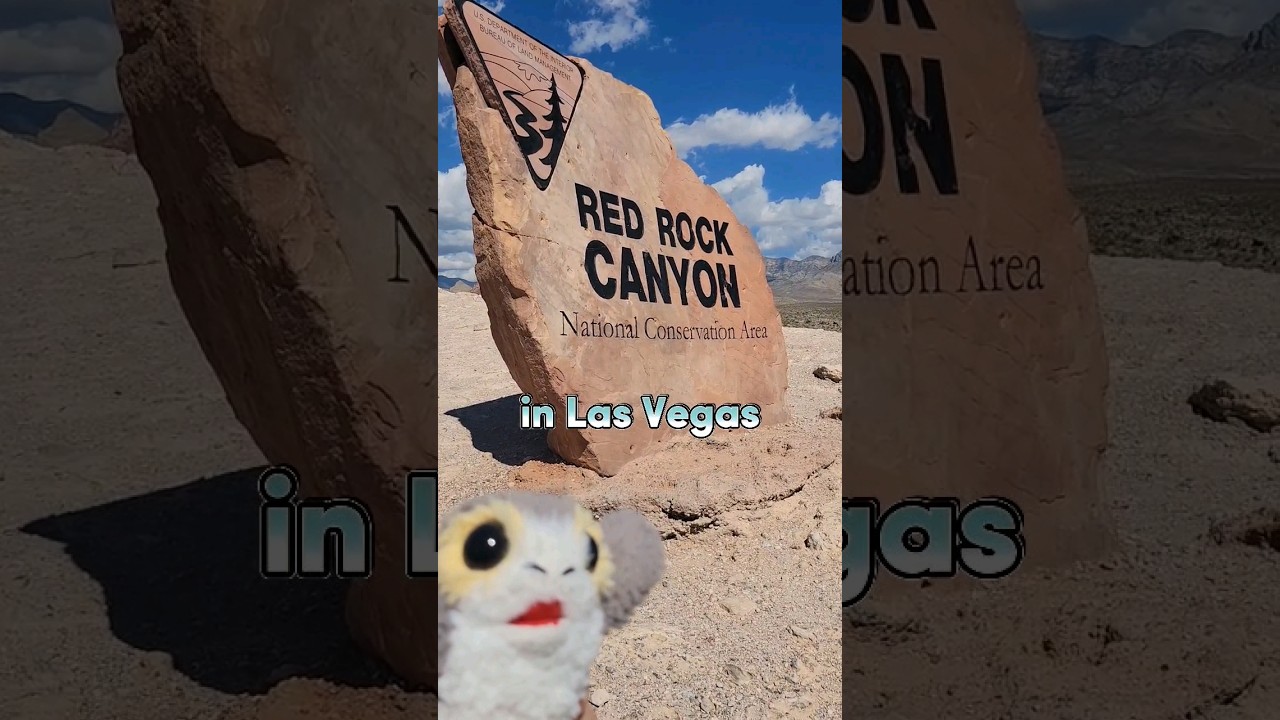 Red Rock Canyon National Conservation Area in Las Vegas!