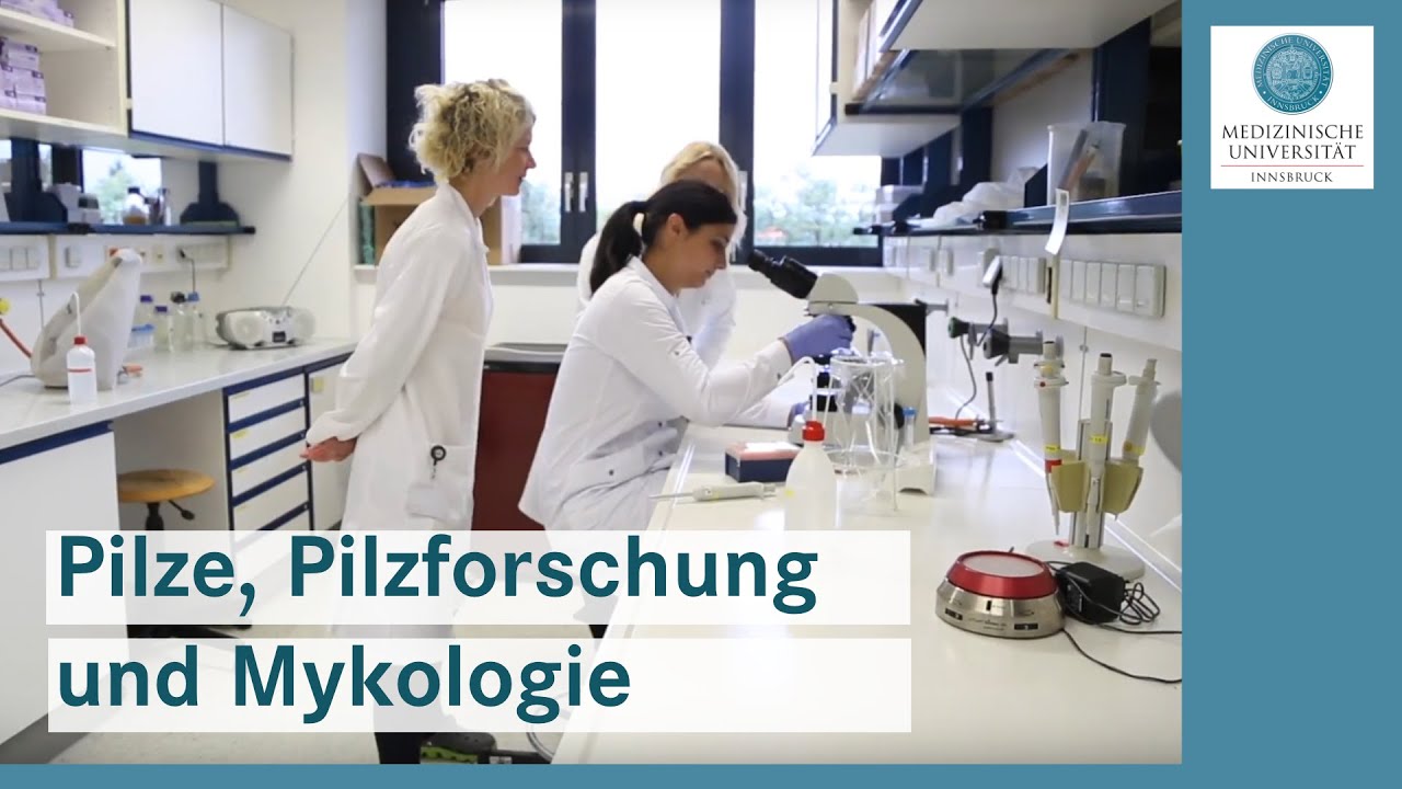 Pilze, Pilzforschung und Mykologie an der Medizinischen Universität Innsbruck