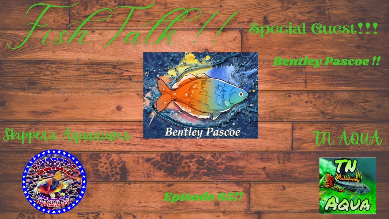 Fish Talk Special Ep. 65: Special Guest: Bentley Pascoe