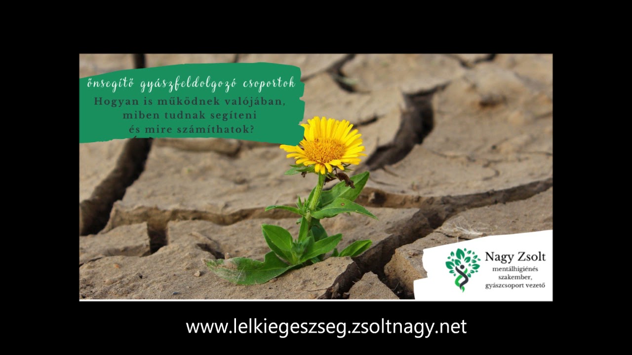 Hogyan &eacute;s miben is seg&iacute;thetnek az &ouml;nseg&iacute;tő gy&aacute;szfeldolgoz&oacute; csoportok?