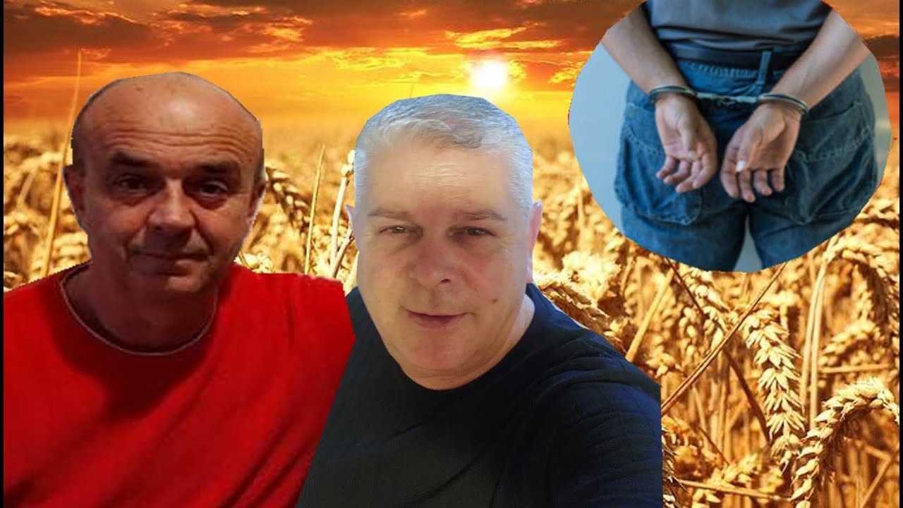 Ramiz Rodi -  KRAĐA PŠENICE RATNA GODINA