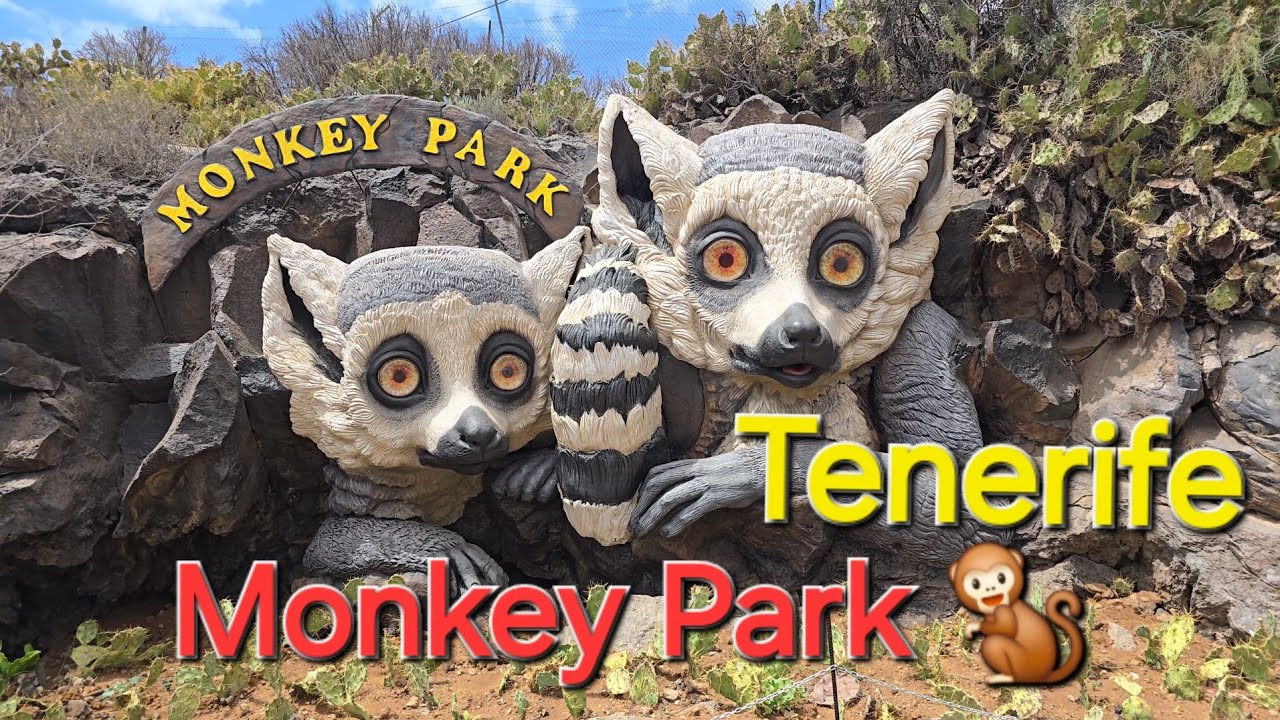 Monkey Park Tenerife, Чем заняться на Тенерифе