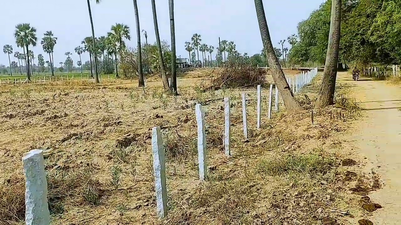 Agriculture land for sale 1 Acre 23 Guntas 45lacs per acre Near kolanupaka (aler) 9912386043