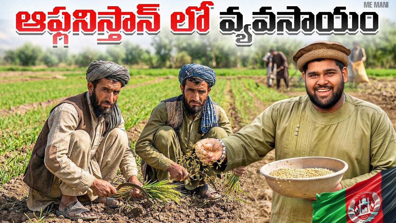 Farming Life in Afghanistan 🇦🇫 | me mani