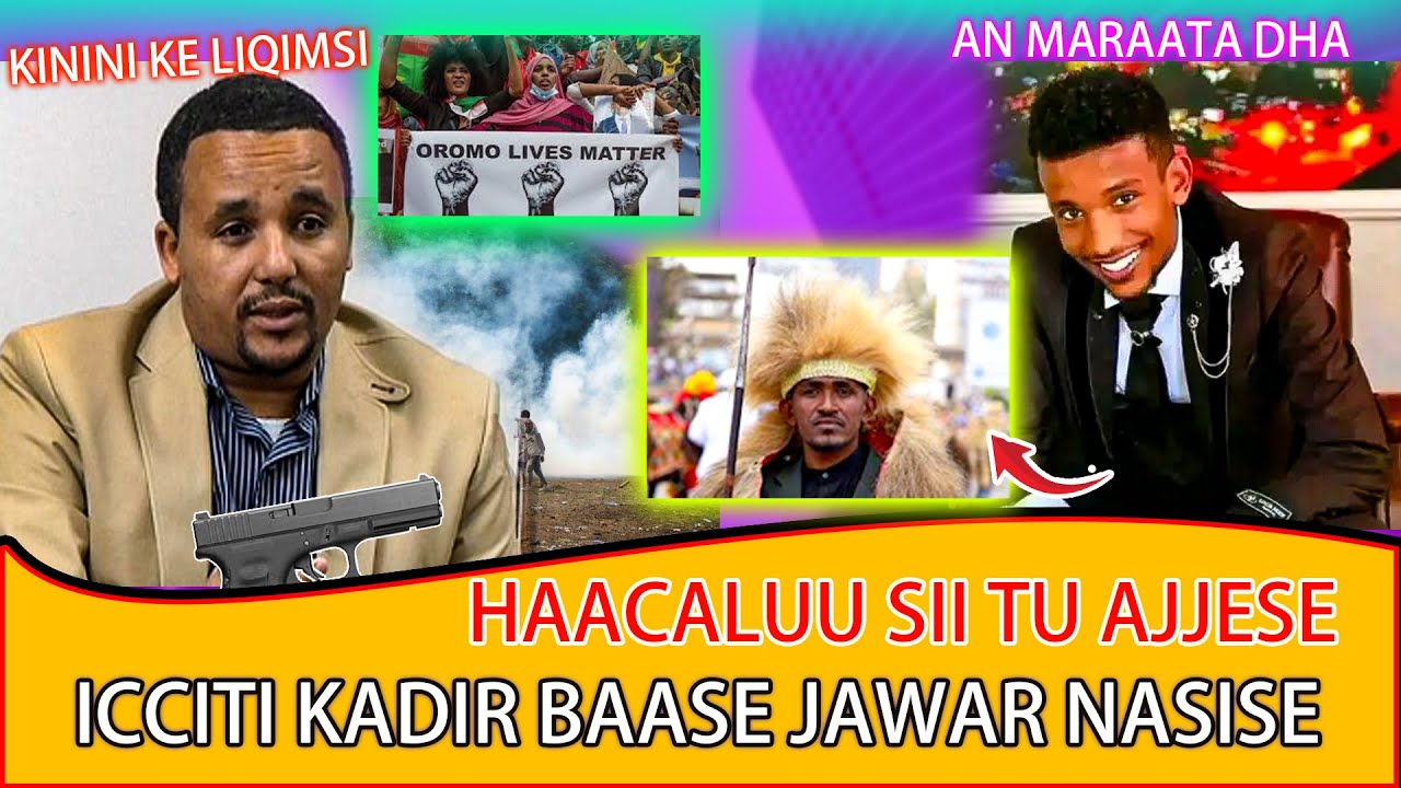 HAACAALUU SITU AJJESE ? || DHIIGA QERRO SITU BALLESSE || ICCITI GUDDA ABBA KADIR MARTUU FI JAWAR