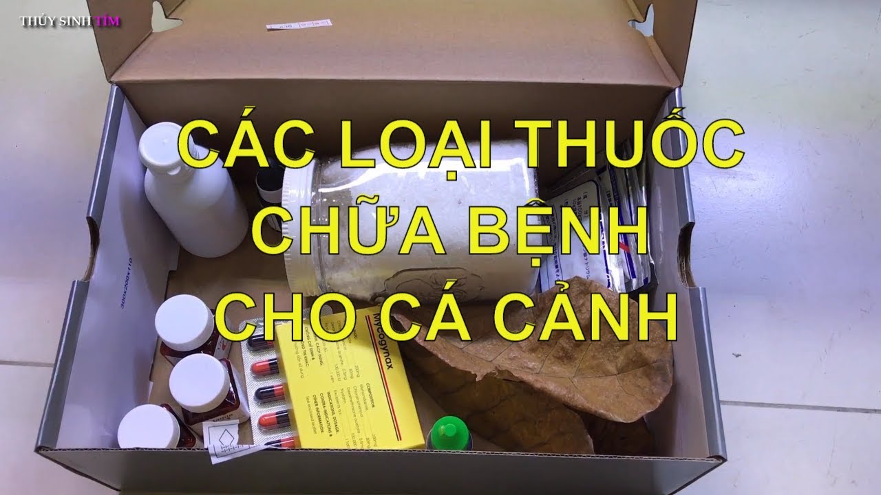 Trang bị tủ thuốc mini chữa bách bệnh cho cá