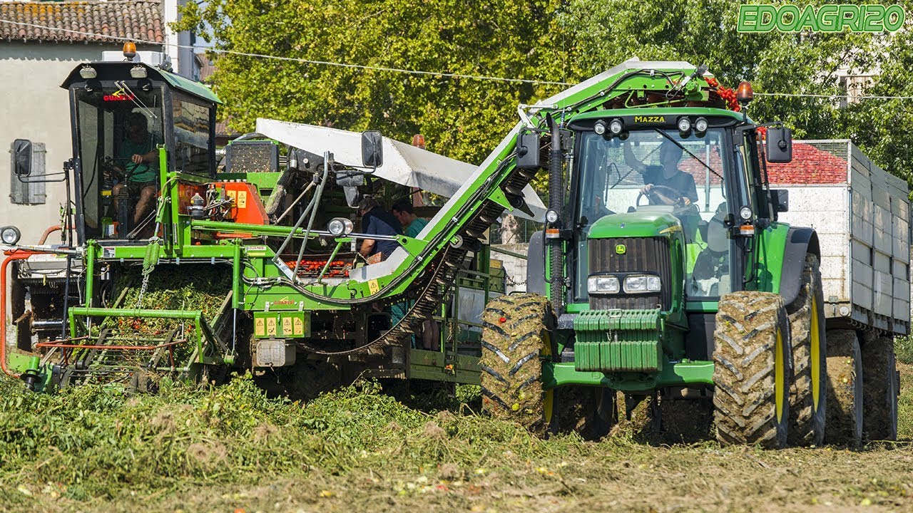 Guaresi G89/93 + John Deere 6620 | Tomato Harvest | By Edoagri20