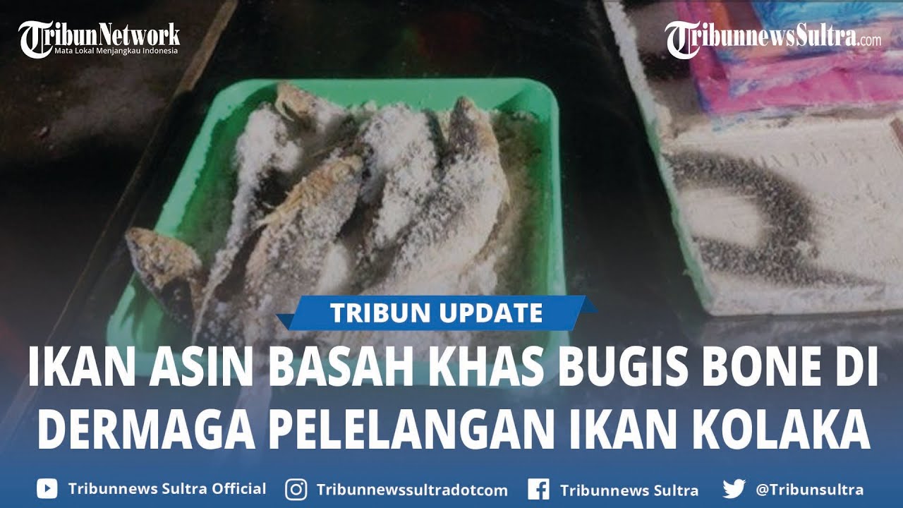 Cara Membuat Ikan Kannasa Khas Bugis Bone, Lengkap Harga Jualnya di Kolaka Sulawesi Tenggara