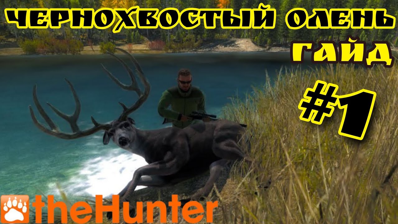 theHunter Classic/Охота на Чернохвостого Оленя/Гайд #1