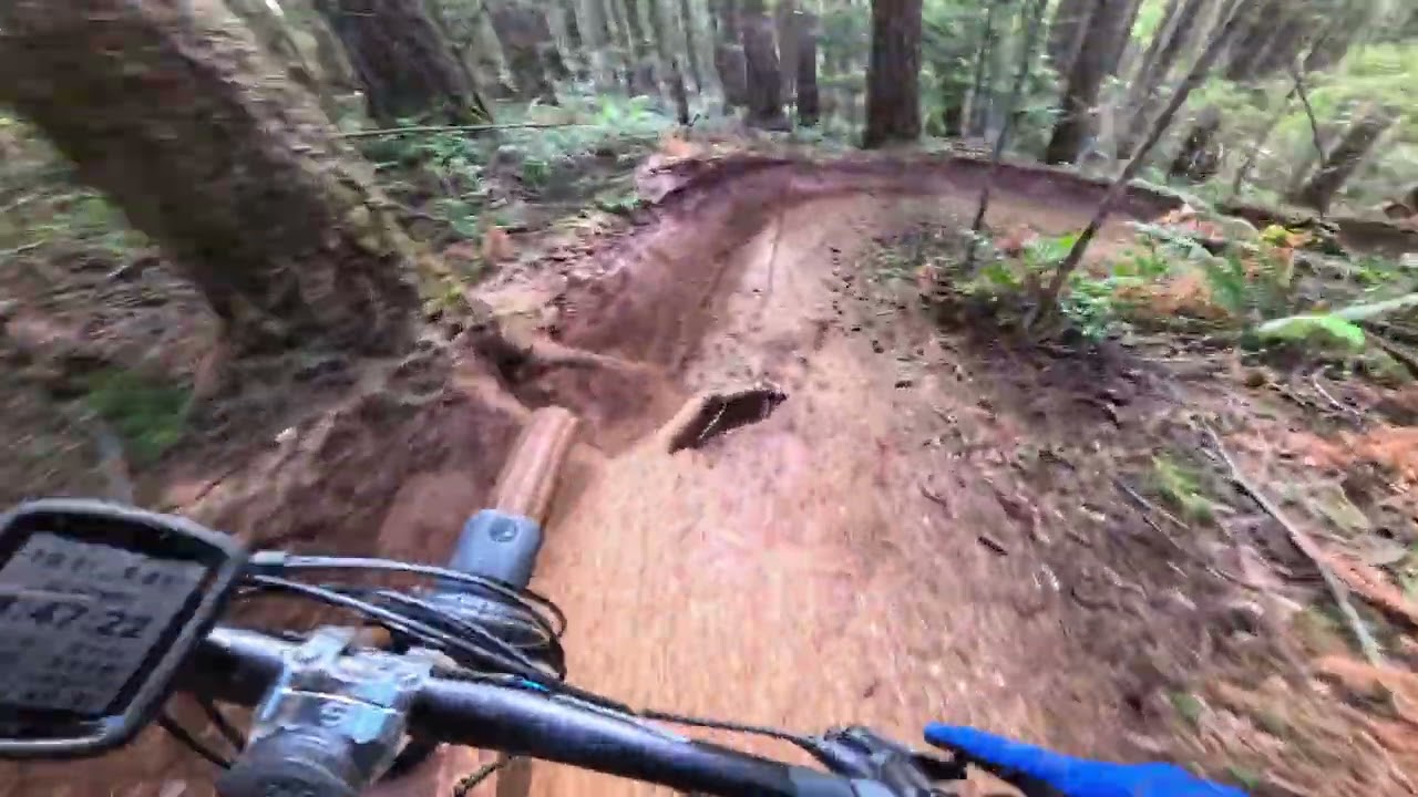 Black Rock, Upper Bonzai 
