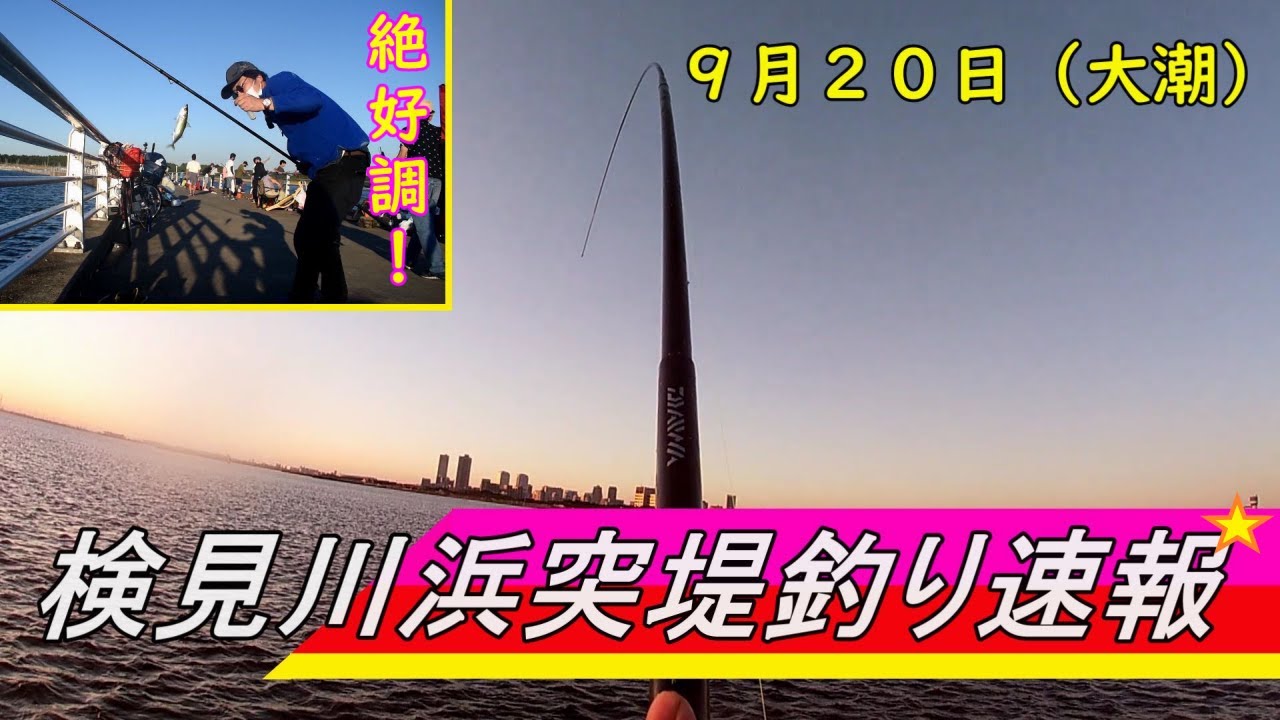 千葉県の釣り　検見川浜突堤釣り速報（９月）