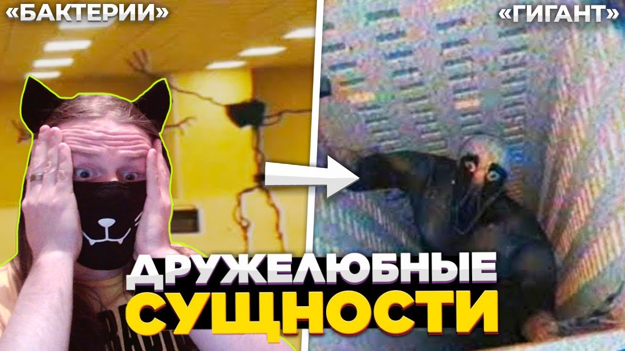 ДРУЖЕЛЮБНЫЕ Сущности в Закулисье - Мирные Монстры / Реакция На Zengi