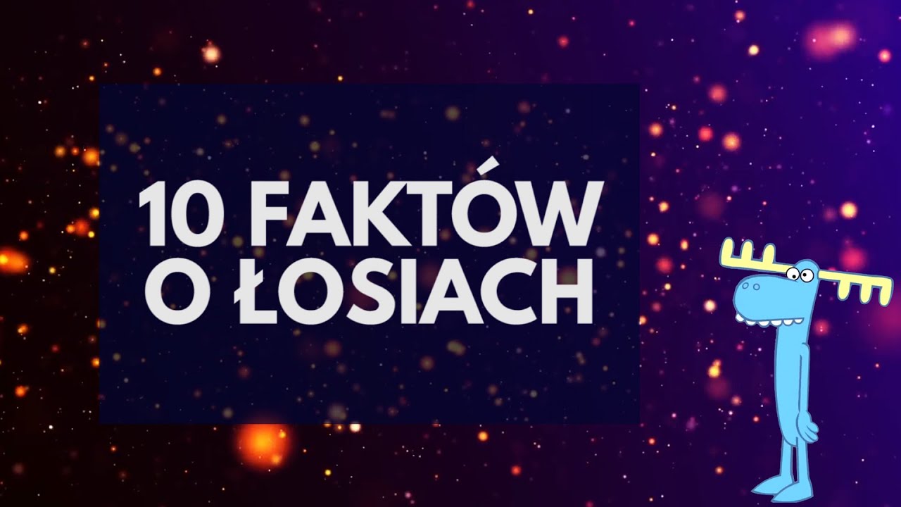 10 fakt&oacute;w o łosiach
