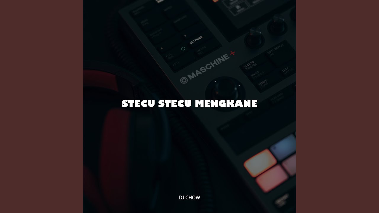 Stecu Stecu Mengkane